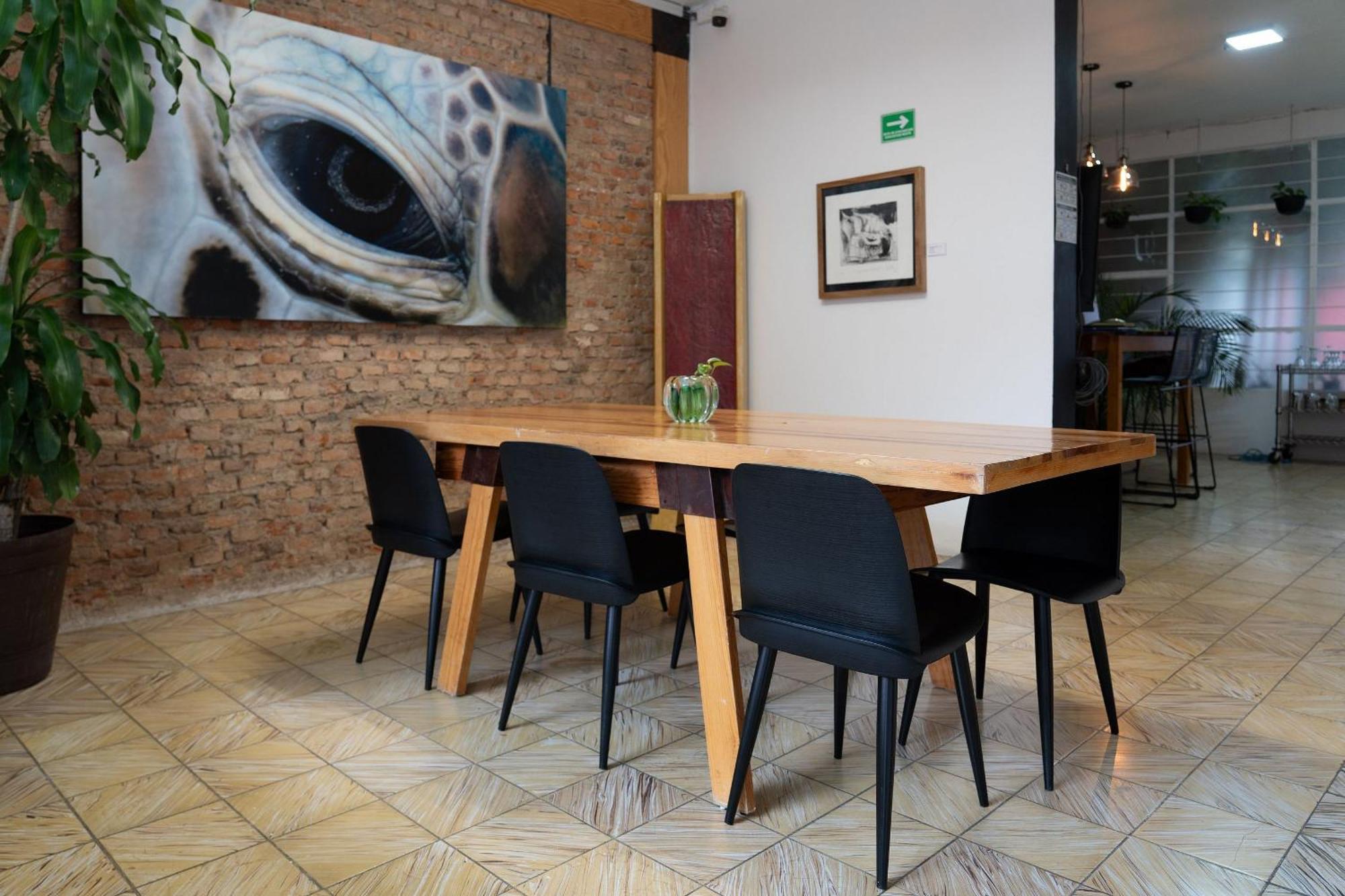 Habitaciones Privadas Con Bano Propio En Una Zona Segura Y Centrica De Guadalajara. Экстерьер фото